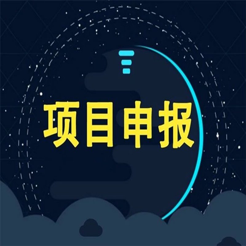项目申报咨询：政府项目的“导航灯”